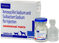 Antibiotics for cats discount